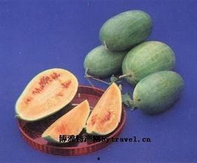 苍玹吃瓜图文,揭秘娱乐圈幕后风云