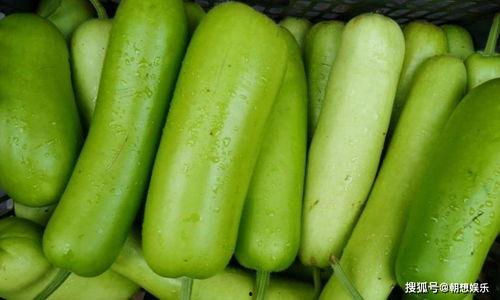 包瓜可以吃吗,揭秘其食用价值与食用方法