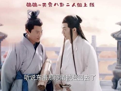 吃瓜说书人,揭秘人生百态的趣味解读