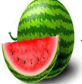 吃小白瓜会长胖吗,吃它真的会长胖吗？