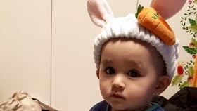 本特利吃瓜的样子,表情包界的又一力作