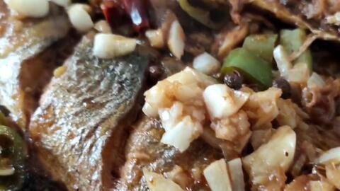 青鱼会吃瓜吗,它们真的会吃瓜吗？