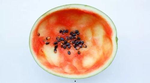 小型吃瓜勺子图片,小巧勺子开启夏日清凉新体验