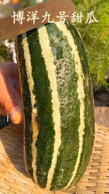 梦到吃很熟的瓜,揭秘吃熟瓜的神秘寓意