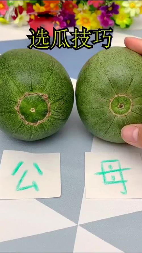 吃瓜涨知识,揭秘娱乐圈背后的那些事儿