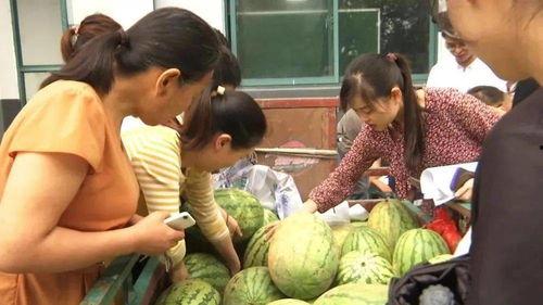 村里吃瓜的对象