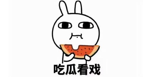 吃瓜蒋怂怂,揭秘娱乐圈背后的故事