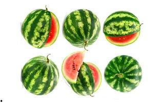 农夫吃瓜有点酸