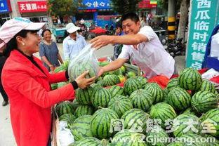 女人梦见吃土瓜,女人梦中品味土瓜的神秘寓意