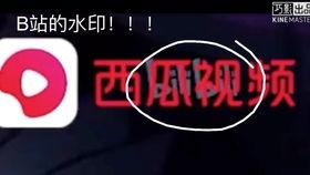 fw直播吃瓜视频,揭秘娱乐圈幕后吃瓜大事件