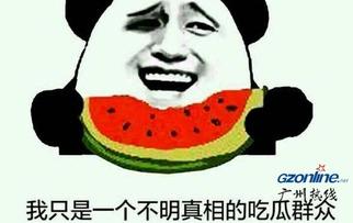 吃瓜的人指什么