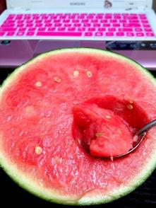 吃瓜日志,揭秘娱乐圈幕后故事