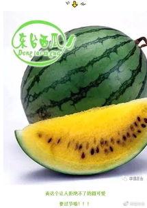 吃瓜侃世界,吃瓜群众视角下的全球热点事件盘点