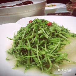 豆苗呀吃瓜,揭秘网络热词背后的趣味与思考