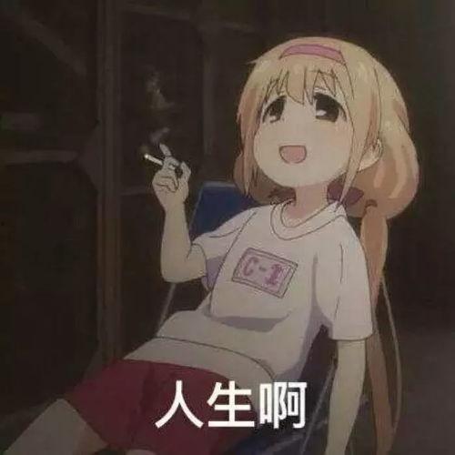 馥雅动画吃瓜,吃瓜群众眼中的动画盛宴